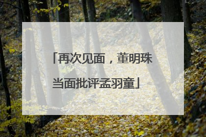 再次见面，董明珠当面批评孟羽童